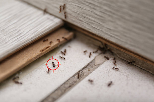 Lyons, KS Pest Control Company