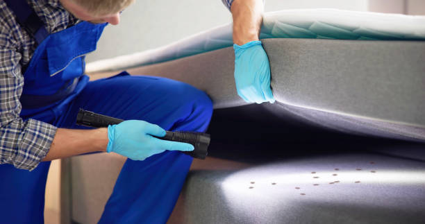 Best Mosquito Control Services  in Lyons, KS