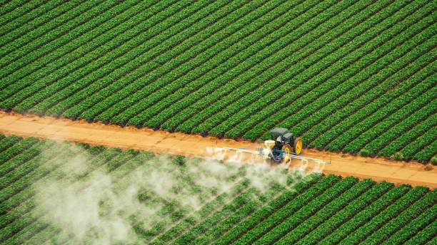 Insect Control in Lyons, KS