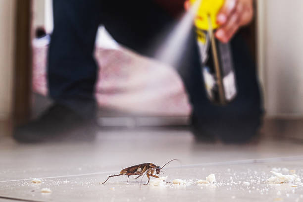 Best Best Pest Control Companies  in Lyons, KS