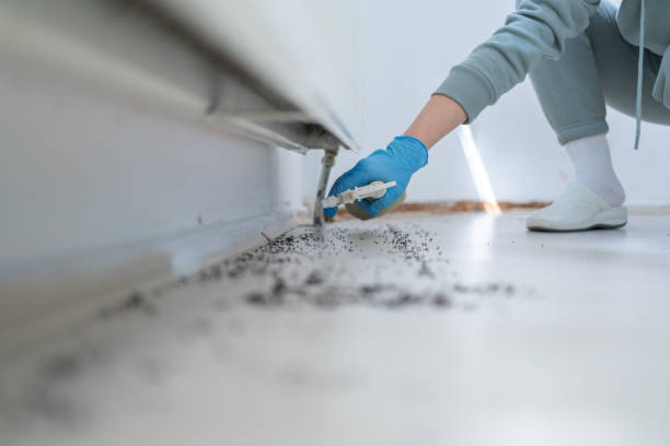 Best Exterminator Services  in Lyons, KS